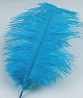 Strucctoll 55-60 cm - TURCHESE #57